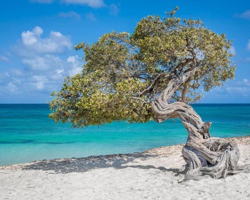 Villa Park Fontein Curacao エクステリア 写真